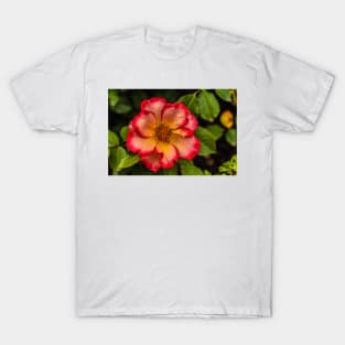 Wild Rose Sunrise T-Shirt